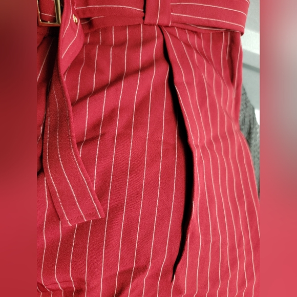 Red Pinstripe Pleated Pants + gold belt - Picture 2 of 10